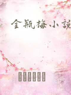 金瓶梅小说