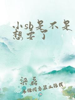 小sb是不是又想要了