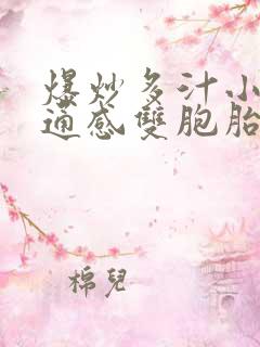 爆炒多汁小美人通感双胞胎燎锋