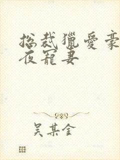 总裁猎爱豪门一夜宠妻