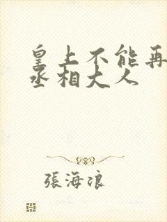 皇上不能再进了丞相大人