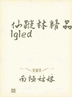 仙踪林精品zzlgled