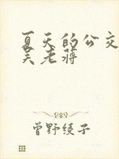 夏天的公交车老吴老蒋