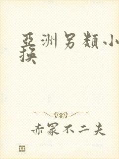 亚洲另类小说交换