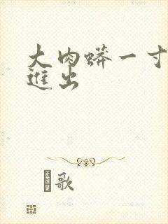 大肉蟒一寸一寸进出