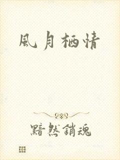 风月栖情