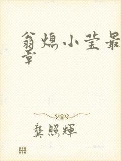 翁熄小莹最新节章