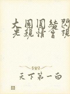 大团圆结闪闪发光亲情会视频