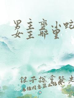 男主变小蛇钻进女主哪里