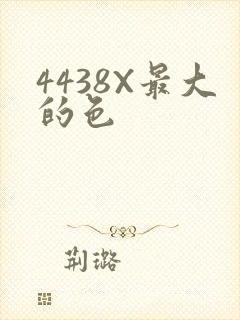 4438X最大的色