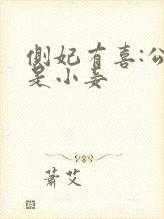 侧妃有喜:公主是小妾