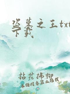 盗墓之王txt下载