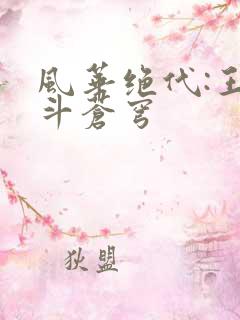 风华绝代:王妃斗苍穹