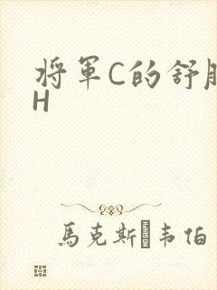 将军C的舒服么H