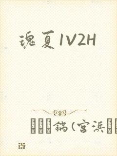 瑰夏1V2H
