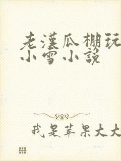 老汉瓜棚玩小丹小雪小说
