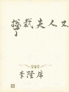 总裁夫人又征婚了