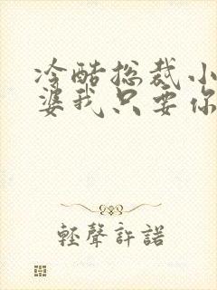 冷酷总裁小小老婆我只要你