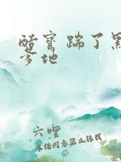 酷宝 踹了黑道爹地