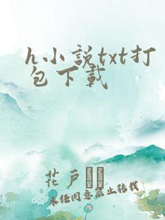 h小说txt打包下载