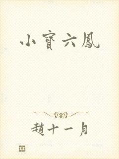 小宝六凤