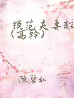 模范夫妻离婚了(高干)