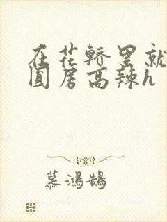 在花轿里就开始圆房高辣h