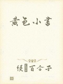 黄色小书