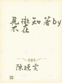 见微知著by音不在