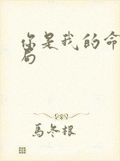 你是我的命运结局