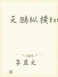 天鹏纵横txt