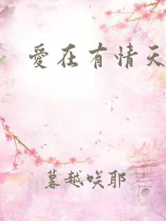 爱在有情天小说