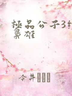 极品公子3续世枭雄