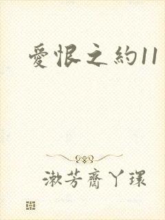 爱恨之约11