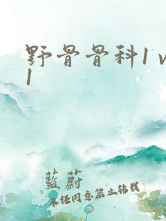 野骨骨科1 v1