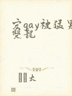 宏gay被猛男双龙