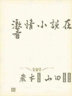 激情小说在线观看