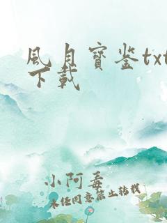 风月宝鉴txt下载