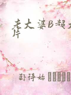 老大婆B超大图片