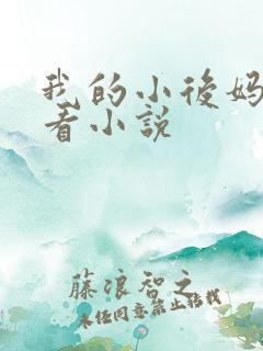 我的小后妈免费看小说
