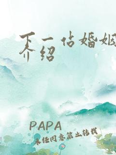 下一站婚姻剧情介绍