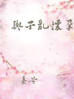 与子乱怀孕小说