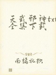 天武邪神txt全集下载