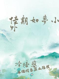 佳期如梦小说番外