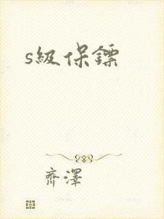 s级保镖