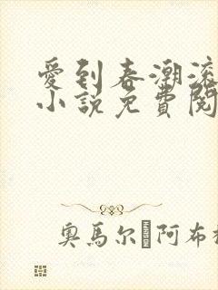 爱到春潮滚滚来小说免费阅读