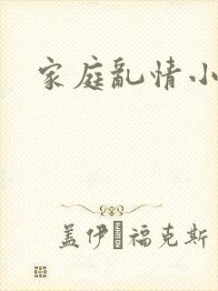 家庭乱情小说