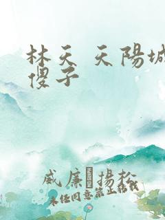 林天 天阳城 傻子