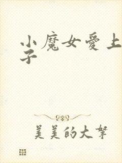 小魔女爱上皇太子