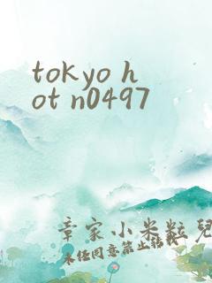 tokyo hot n0497